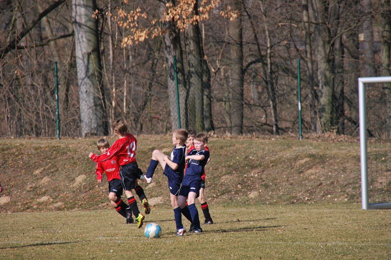 780x52010.ST Grimme-BSG 17.03 (16).JPG
